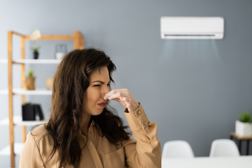 heat pump bad smell makes a woman upset