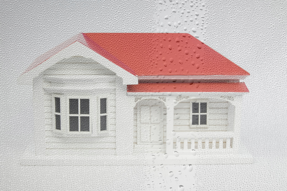 New Zealand NZ villa house model with window condensation - damp leaky home concept
